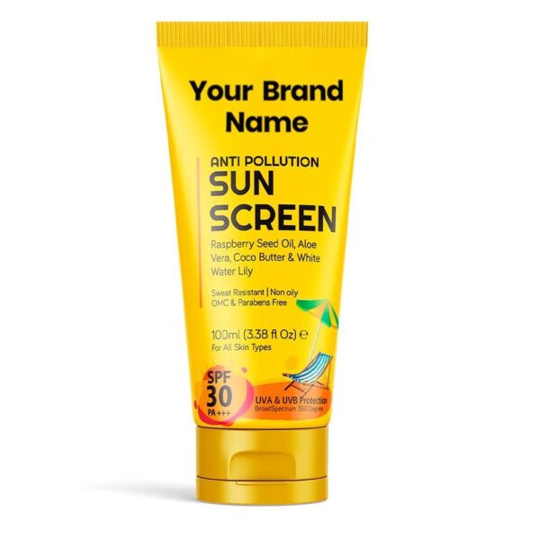 Anti-Pollution Sunscreen